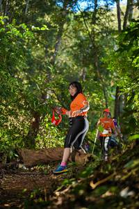 BIB: 
                            <button type="button" onclick="openModal(19236036)" class="btn btn-primary btn-sm float-right btn-popup" data-toggle="modal" data-target=".modal-high-quality">
                        <i class="fas fa-shopping-cart"></i> Add to Cart
                    </button>
                                            <button type="button" onclick="isThisMe(19236036, true)" class="btn btn-success btn-sm float-right btn-popup btn-isme hidden" data-toggle="tooltip" data-placement="bottom" title="นี่คือรูปของคุณใช่ไหม คลิกที่นี่เพื่อเอาเข้าอัลบั้ม">
                        <i class="fas fa-plus"></i> Add to album
                    </button>
                    <button type="button" onclick="isThisMe(19236036, false)" class="btn btn-warning btn-sm float-right btn-popup btn-isnotme hidden">
                        <i class="fas fa-ban"></i> Remove from album
                    </button>